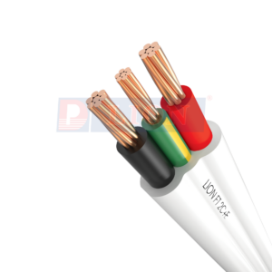 Dây cáp điện LION FT 2C+E - 450/750 V