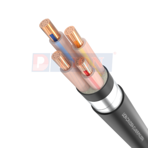 Dây cáp điện LION CXV/DSTA - 0.6/1kV